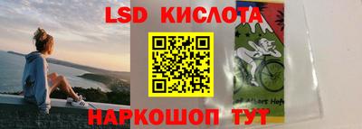 ПСИЛОЦИБИНОВЫЕ ГРИБЫ Бузулук