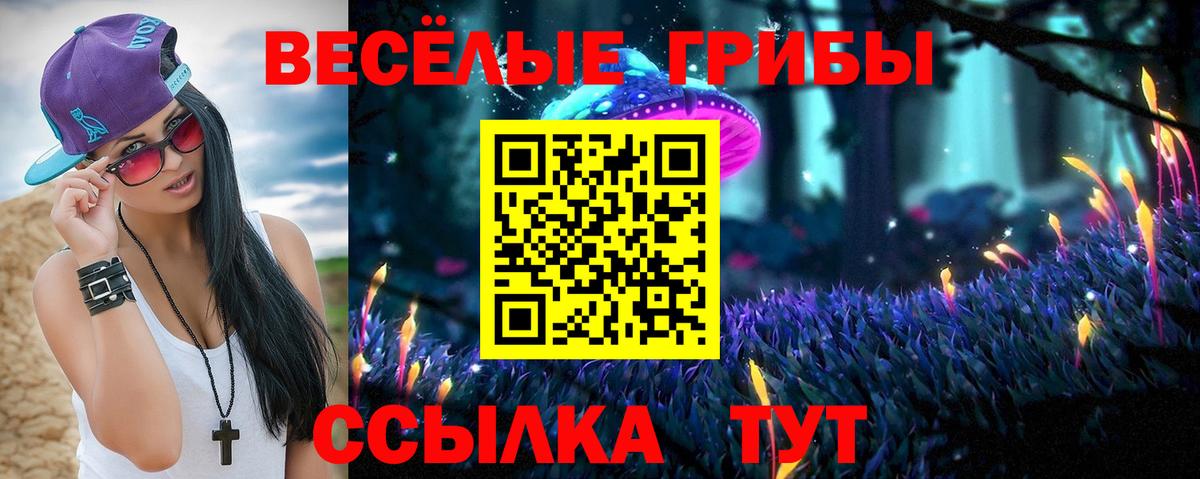 Тихорецк  Псилоцибиновые грибы Psilocybine cubensis  где можно купить   Вход с VPN 