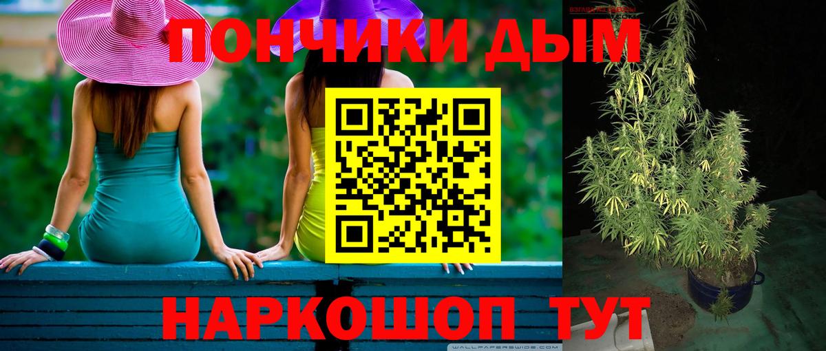 Бошки Шишки SATIVA & INDICA Тихорецк